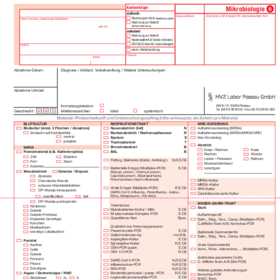 Mikrobiologie-Auftrag 6
