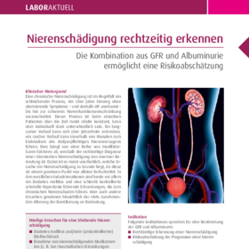 Nierenschädigung rechtzeitig erkennen