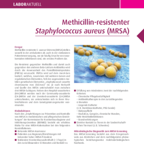 Methicillin-resistenter Staphylococcus aureus (MRSA)