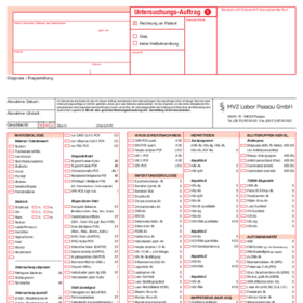 Untersuchungs-Auftrag 1